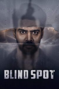 Blind Spot (2025) [Hindi + Telugu] Dual Audio UnCut HD WEB-DL [Full Movie]– 480P 720P 1080P 4K
