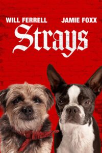 Strays (2023) Dual Audio [Hindi-English] Blu-Ray  HD [Full Movie] – 480P 720P 1080P